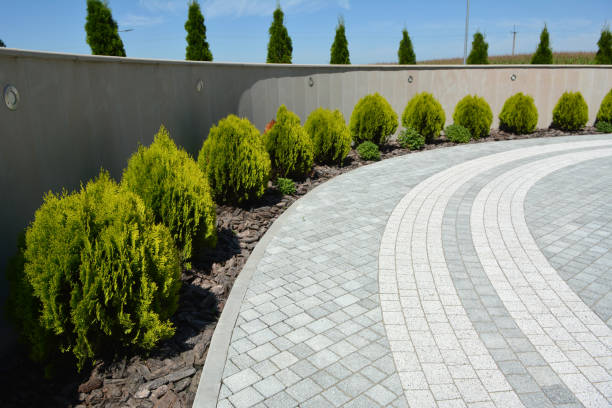 Best Commercial Driveway Pavers  in Foresthill, CA